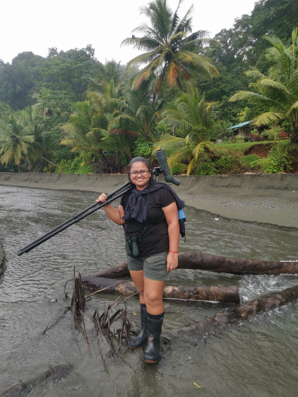 osa tours costa rica