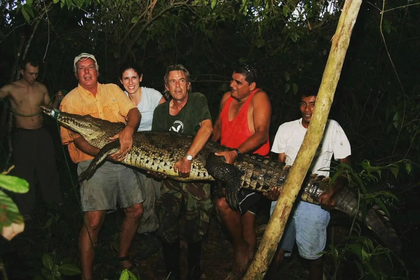 Cocodrile in corcovado
